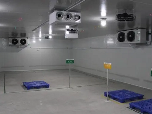 临沂鸡鸭肉保鲜冷库